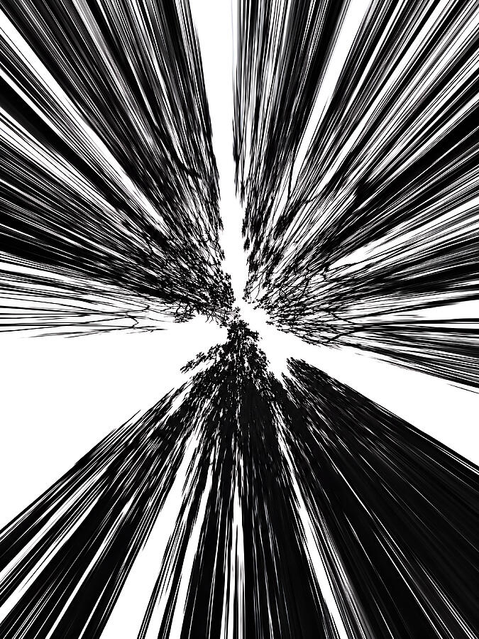Dynamic Black and White Burst